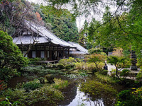 岩船寺-あじさい京都-3