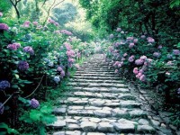 太平山　栃木-1