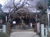 白山神社-あじさい東京-3
