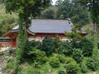 長谷寺-あじさい新潟-3