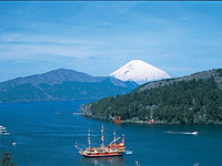 根登山鉄道沿線-あじさい神奈川-3