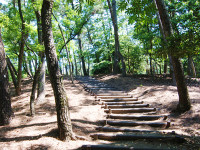 阿波岐原森林公園-あじさい宮崎-2